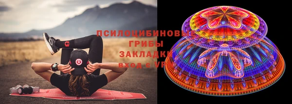 бутират Алексин